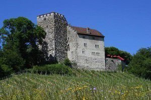 Замок Габсбург, Швейцария. Название замка, согласно легенде, первоначально было Хабихтсбург (нем. Habichtsburg), «Ястребиный замок», в честь ястреба, который сел на только что отстроенные стены крепости. Согласно другой версии, название происходит от старонемецкого hab — брод: крепость должна была охранять переправу через реку Аре.