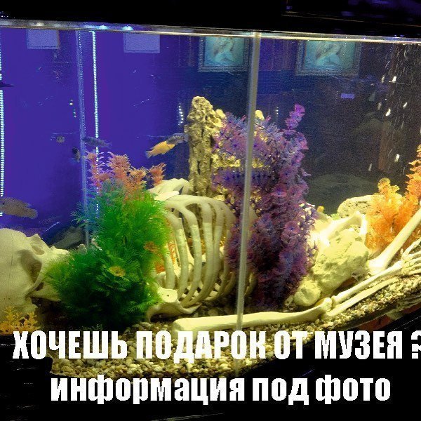 В ЭТУ СУББОТУ ПРИЗ ПЕРВОМУ ПОСЕТИТЕЛЮ