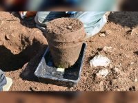 Найдена погребальная урна возрастом 4 тысячи лет
