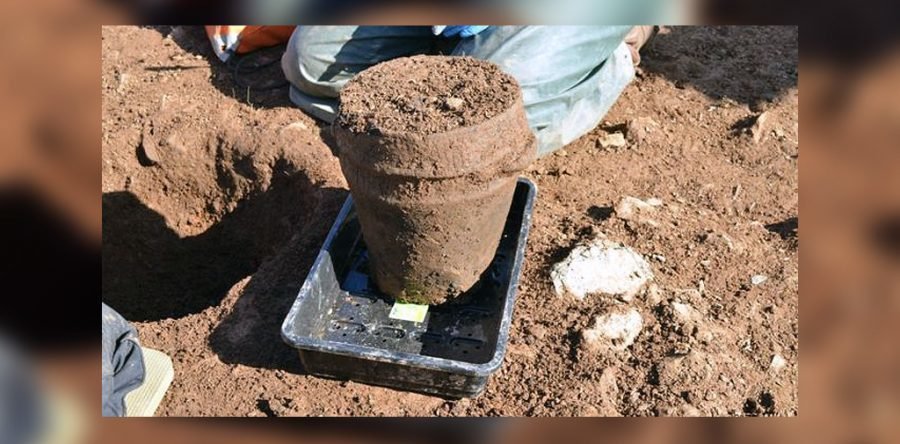 Найдена погребальная урна возрастом 4 тысячи лет