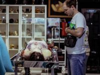 Экспонат музея: Что происходит с телом после смерти